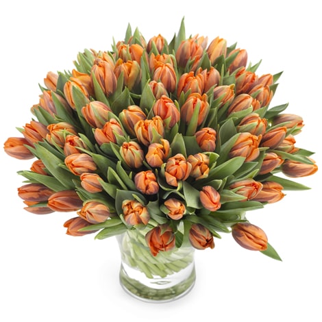Deluxe Strauß orange Tulpen