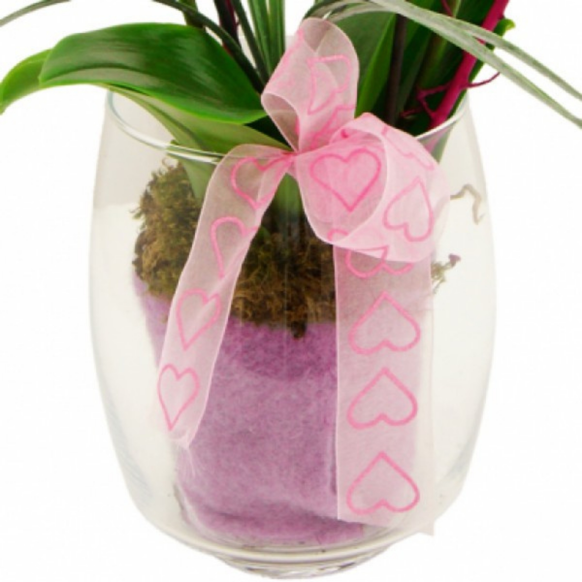 Orchideentraum rosa mit Glas