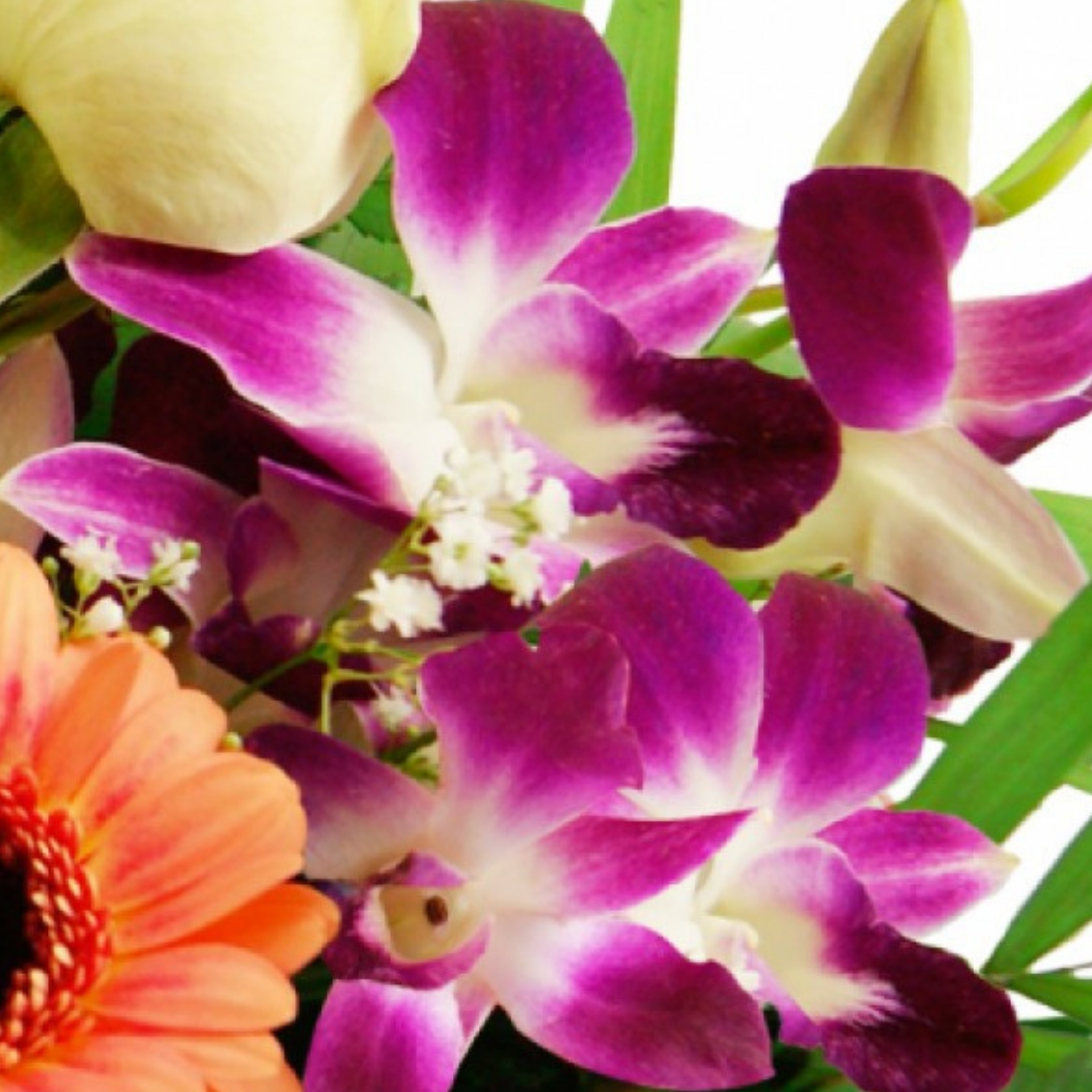 Blumenstrauß Weißer Triumph mit Orchidee