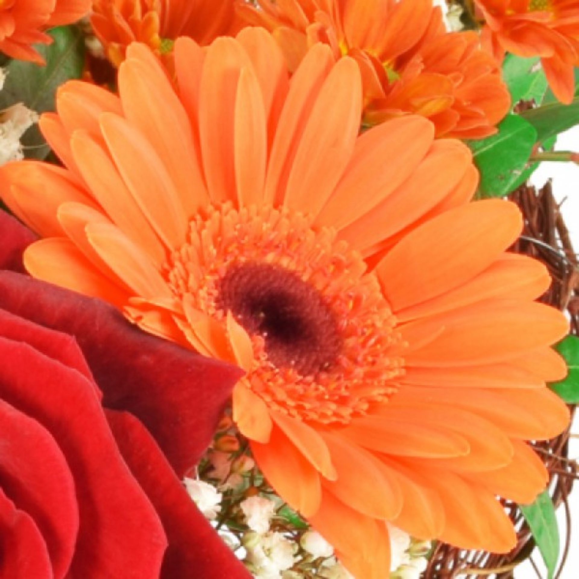 Blumenstrauss Orangerote Herzlichkeit verschicken Muttertag