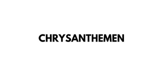 chrysanthemen-1