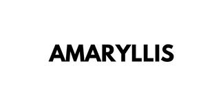 amaryllis-titelbild