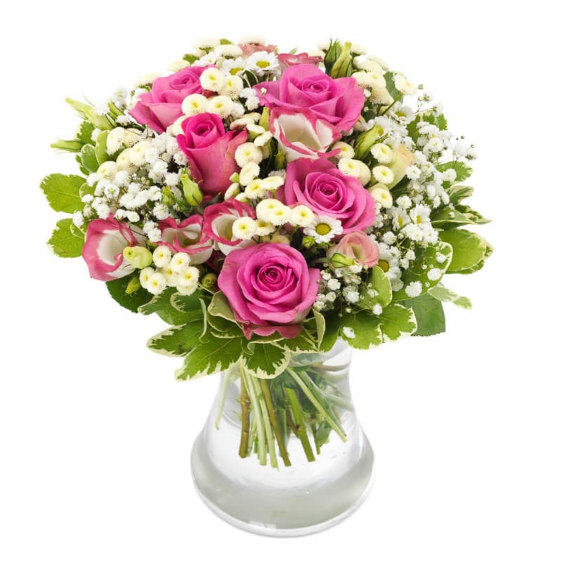 Rosenschoenheit-online-verschicken-mit-pinken-rosen