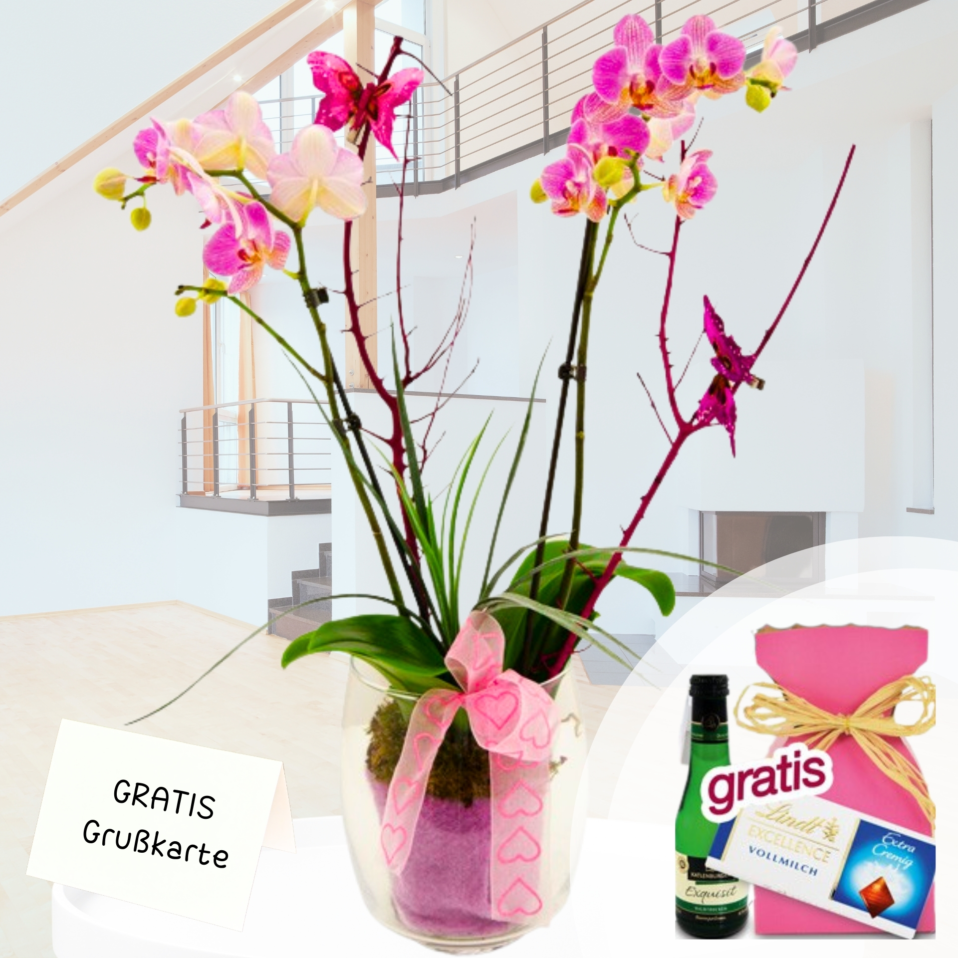 Orchideentraum rosa mit Glas