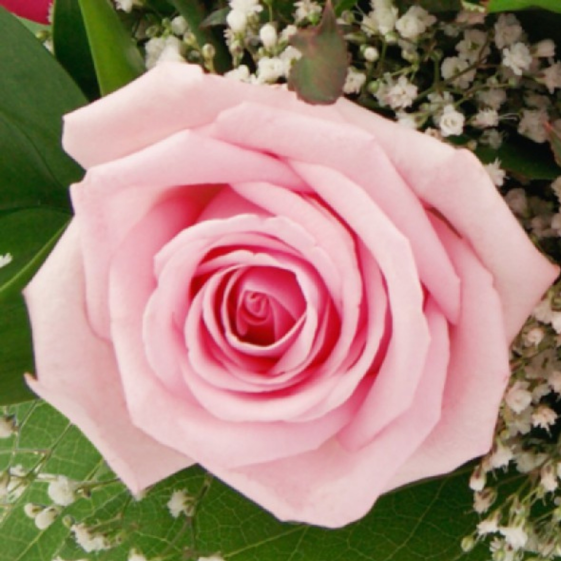 Blumenstrauß Romantische Einladung
