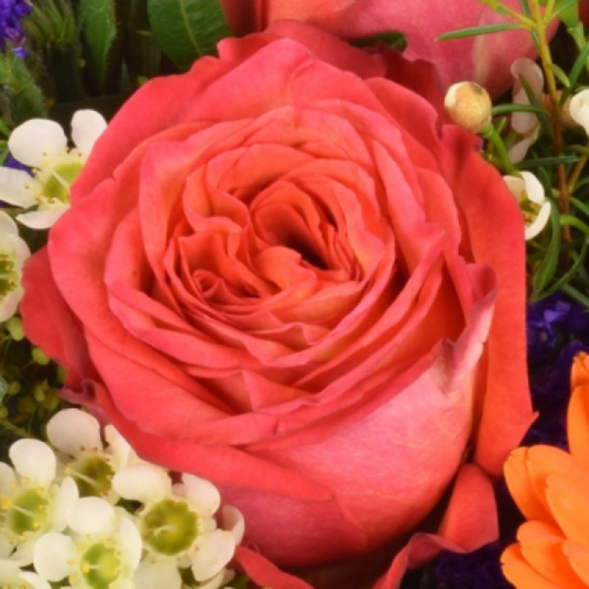 Blumenstrauß Gerbera küsst Rosen
