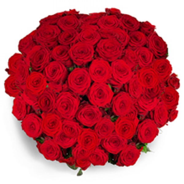 Blumenstrauß rote Rosen Deluxe 